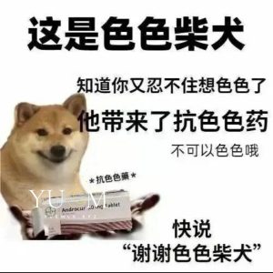 绳艺小说镣铐-月梦社区-YUEM-视频-束缚-Fettered-链结-脚镣-手铐-镣铐玩具月梦社区