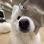 听风诉说的头像镣铐-月梦社区-YUEM-视频-束缚-Fettered-链结-脚镣-手铐-镣铐玩具月梦社区