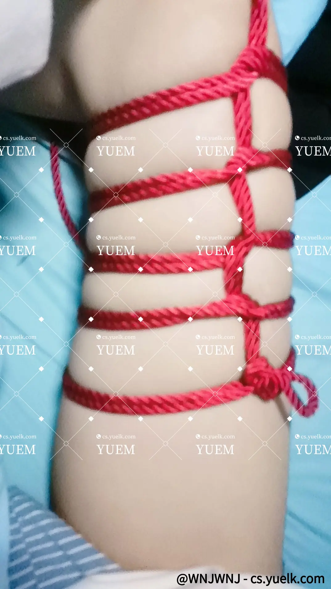 猪肘子（因为看着好吃？）镣铐-月梦社区-YUEM-视频-束缚-Fettered-链结-脚镣-手铐-镣铐玩具月梦社区